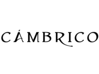 Bodega Cambrico