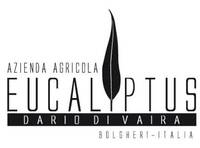 Eucaliptus