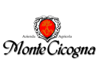 Monte Cicogna