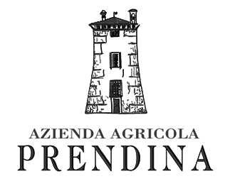 Prendina () 