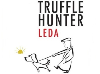Truffle Hunter ( )