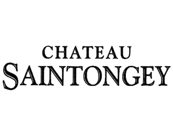 Chateau Saintongey ( )
