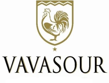 Vavasour ()