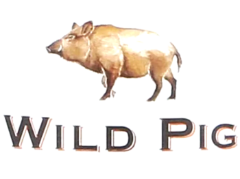 Wild Pig ( )