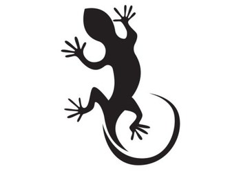 Lizard ()