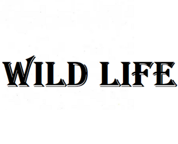 Wild Life ( )