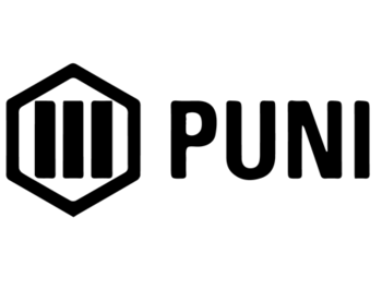 Puni ()