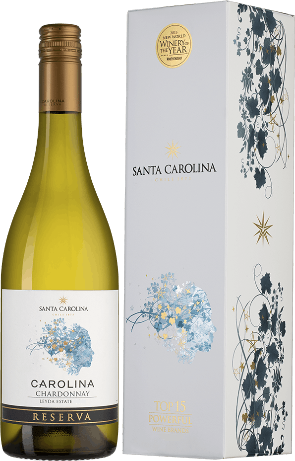 Carolina вино. Carolina вино. Carolina вино. Cellar selection sauvignon blanc чили. Carolina reserva sauvignon blanc.
