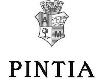 Bodegas Pintia ( )