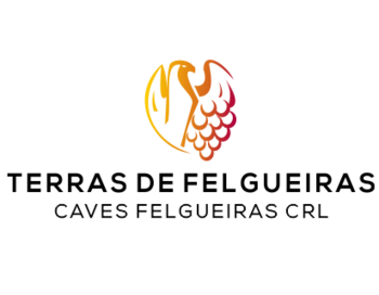 Caves de Felgueiras (  )