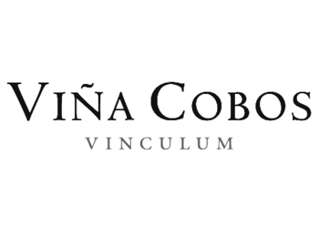 Vinculum ()