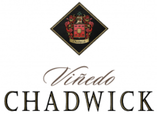 Vinedo Chadwick ( )