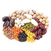 Бобовые Бобовые